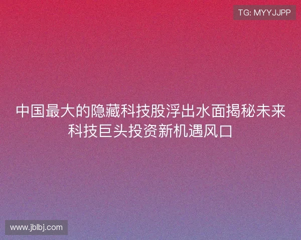 中国最大的隐藏科技股浮出水面揭秘未来科技巨头投资新机遇风口